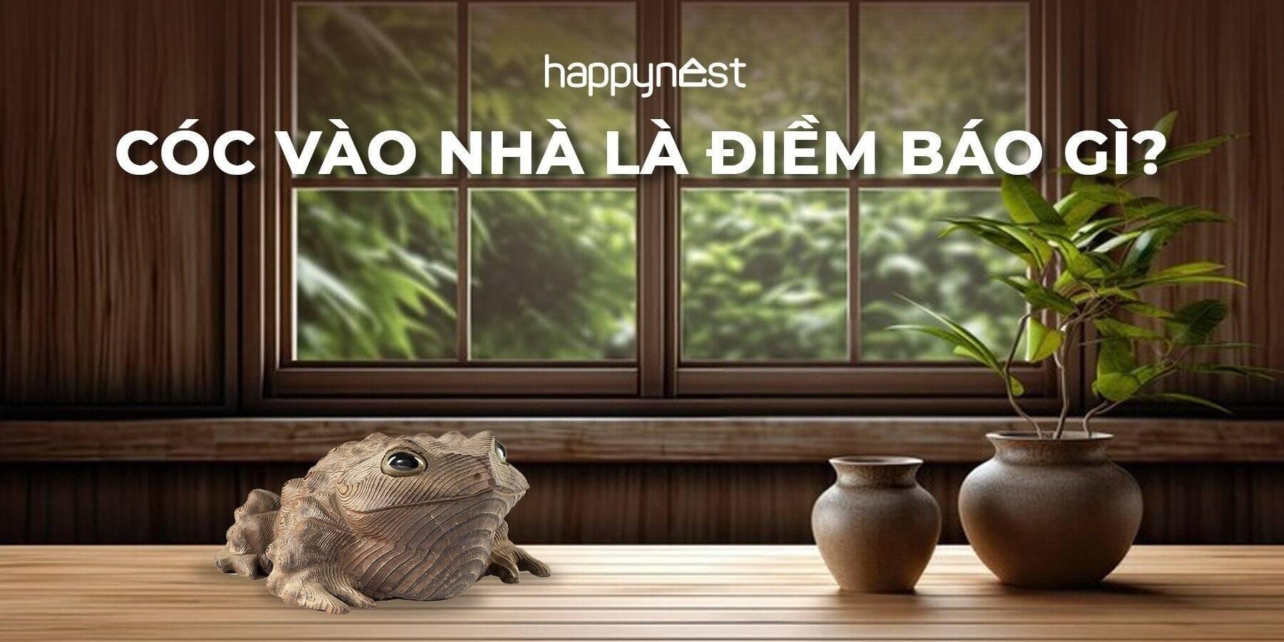 Nhiều Cóc Nhảy Vào Nhà