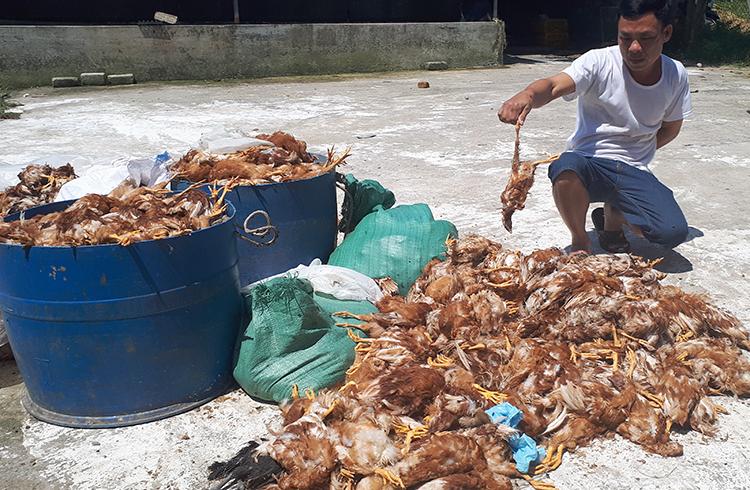 Nằm mơ thấy cô chín đánh con gì? Giải mã giấc mơ lô đề