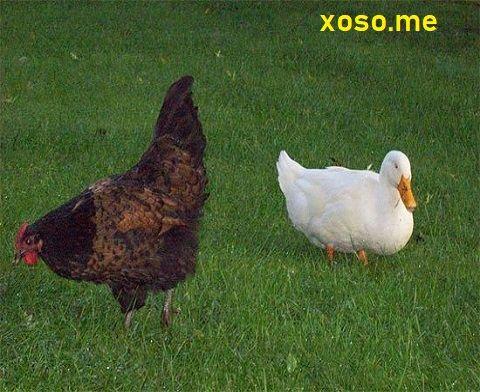 Giải Mã Giấc Mơ Thấy Bác Hồ Và Những Con Số Liên Quan