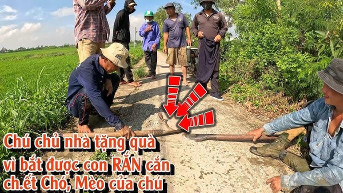 Nằm mơ nhặt được nhẫn vàng đánh con gì? Giải mã giấc mơ tìm vàng