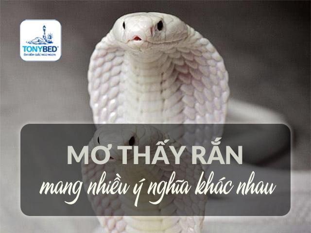Giải Mã Giấc Mơ Thấy Chó Nháy Đực Đánh Con Gì?