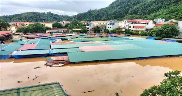 Nằm Mơ Thấy Trâu Rượt Đánh Số Gì? Giải Mã Chi Tiết