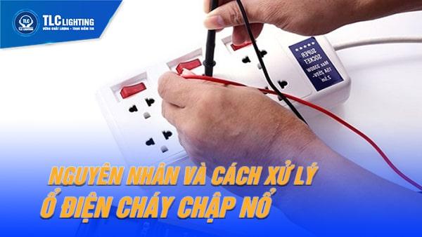 Nằm mơ thấy mèo con đánh số mấy? Giải mã chi tiết