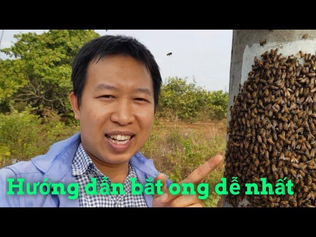 Giải Mã Giấc Mơ Thấy Mèo Mù Và Con Số May Mắn