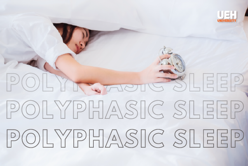 Giải Mã Giấc Mơ Thấy Mất Điện Thoại Đánh Con Gì?