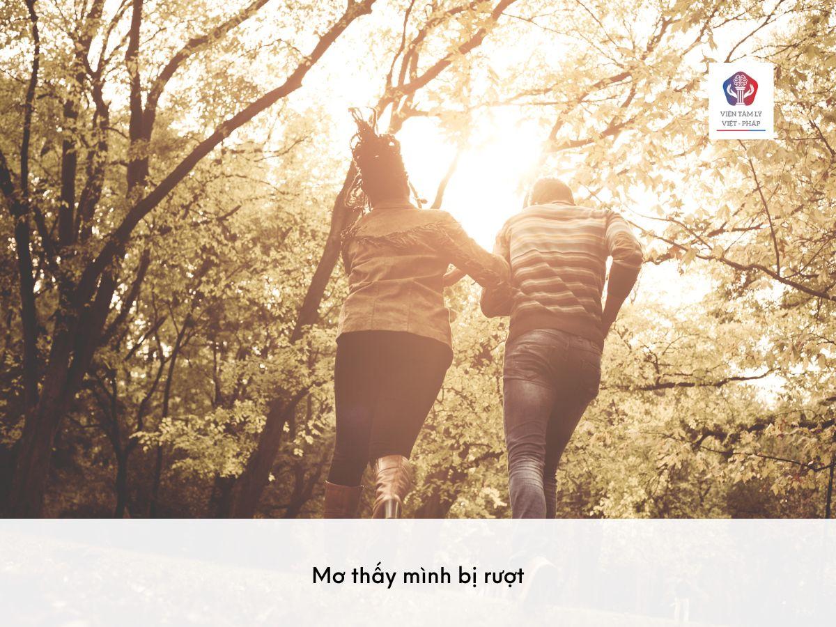 Phương pháp luận giải giấc mơ