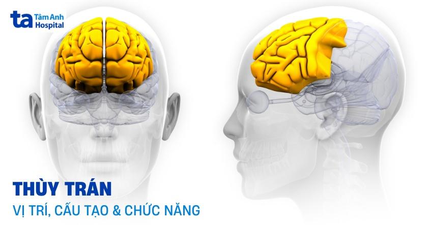 Giải Mã Giấc Mơ Thấy Người Ta Nói Mình Sắp Chết Và Con Số Liên Quan