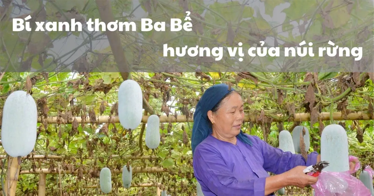Nằm mơ thấy 3 con rắn đánh đề con gì?