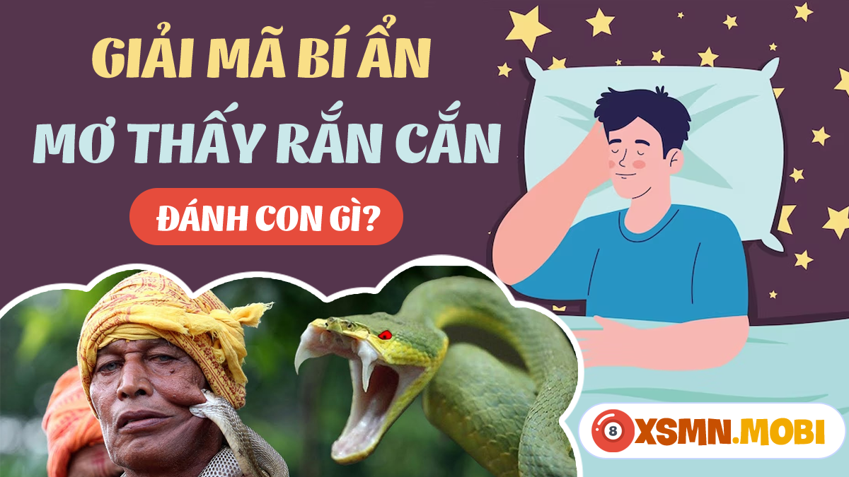 Giải Mã Giấc Mơ Thấy Mất Tiền Đánh Con Gì?