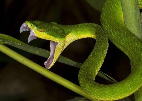 Giải Mã Giấc Mơ Thấy Không: Điềm Báo Số Đề?