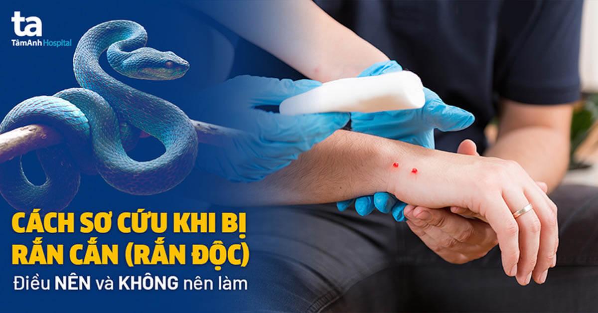 Rắn đen cắn vào tay