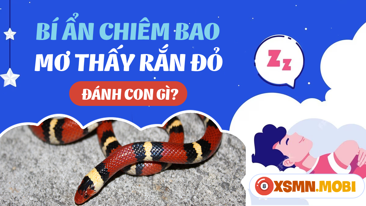 Giải Mã Giấc Mơ Thấy Cầu Tiêu và Số Đề Liên Quan
