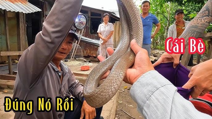 Giải Mã Giấc Mơ Thấy Bị Mất Hết Tài Sản Và Con Số May Mắn