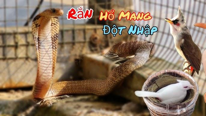 Giải Mã Giấc Mơ Thấy Mình Làm Vỡ Bát Hương