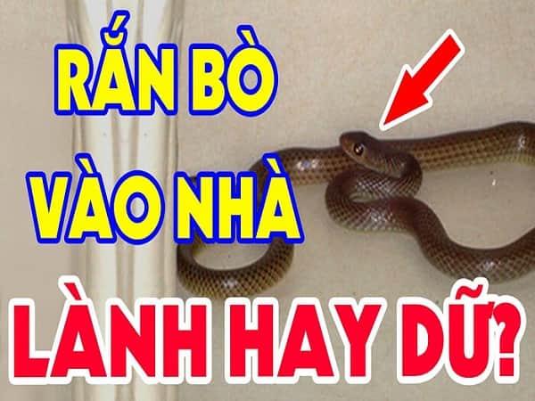 Giải Mã Giấc Mơ Thấy Xá Lợi Phật Và Số Đề Liên Quan