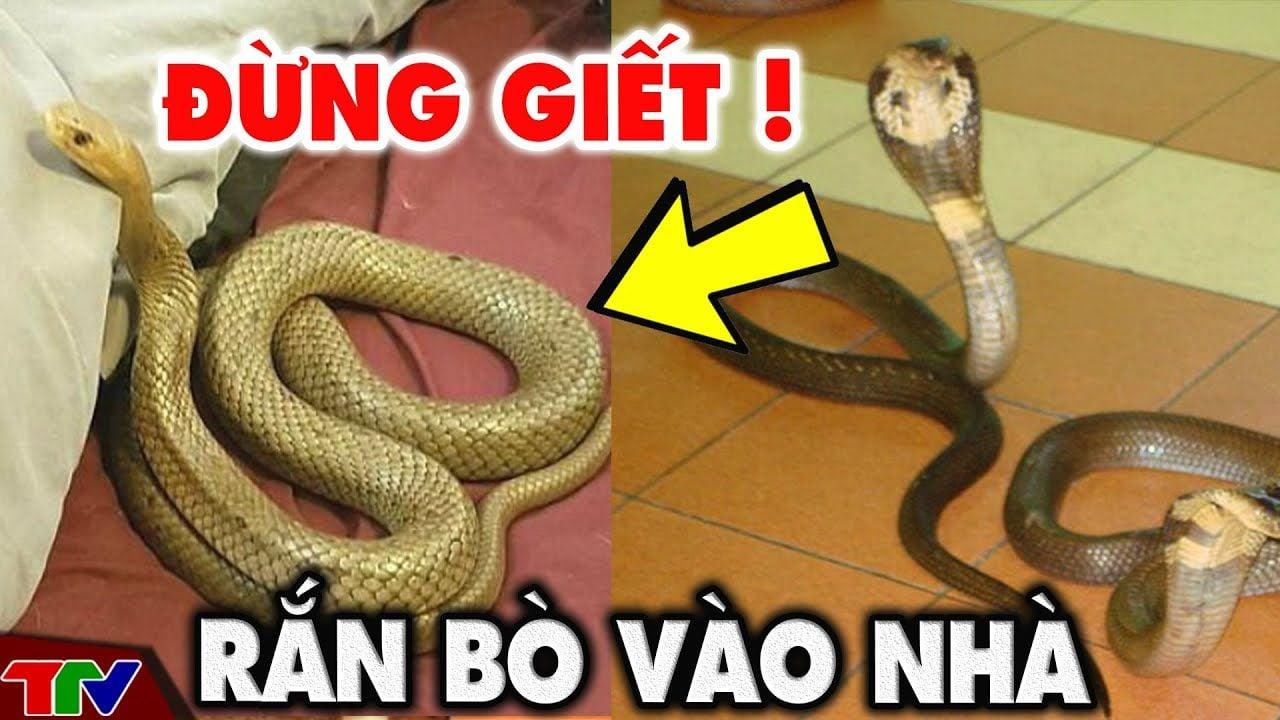 Giải Mã Giấc Mơ Thấy Mua Đất Xây Nhà Và Số Đề Liên Quan
