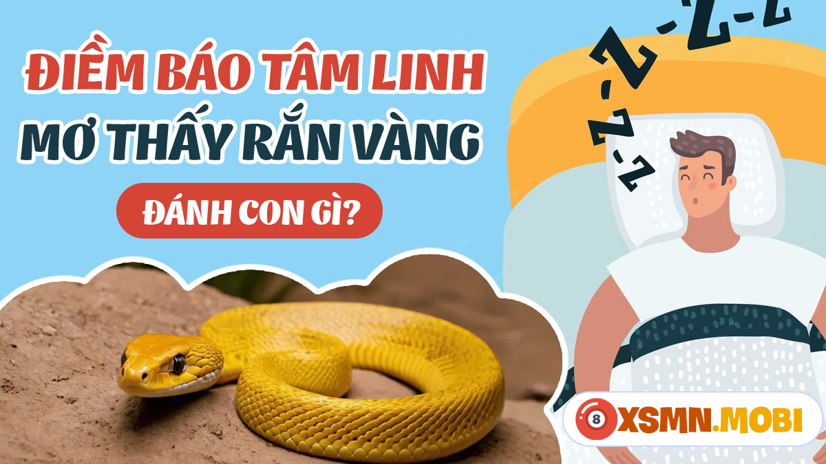 Giải Mã Giấc Mơ Thấy Có Tiền và Số Đề Liên Quan