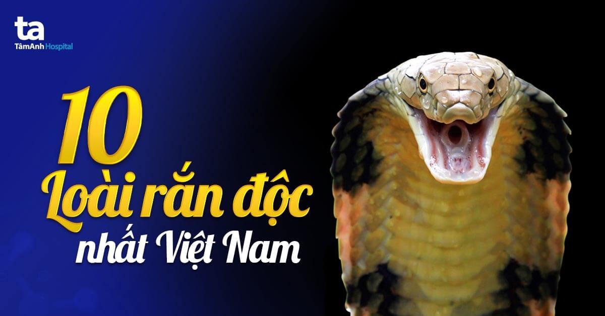 Giải Mã Giấc Mơ Thấy Có Tiền và Số Đề Liên Quan