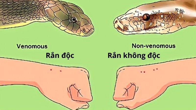 Giải Mã Giấc Mơ Thấy Bà Nội Và Ý Nghĩa Số Đề