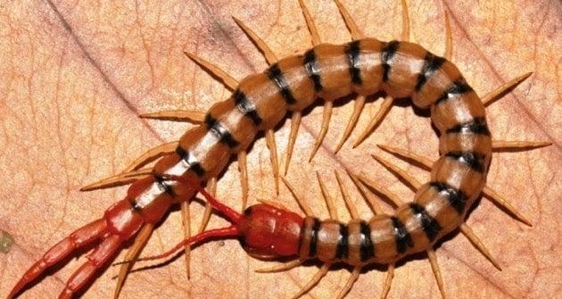 Giải Mã Giấc Mơ Thấy Nhà Lầu Và Con Số May Mắn