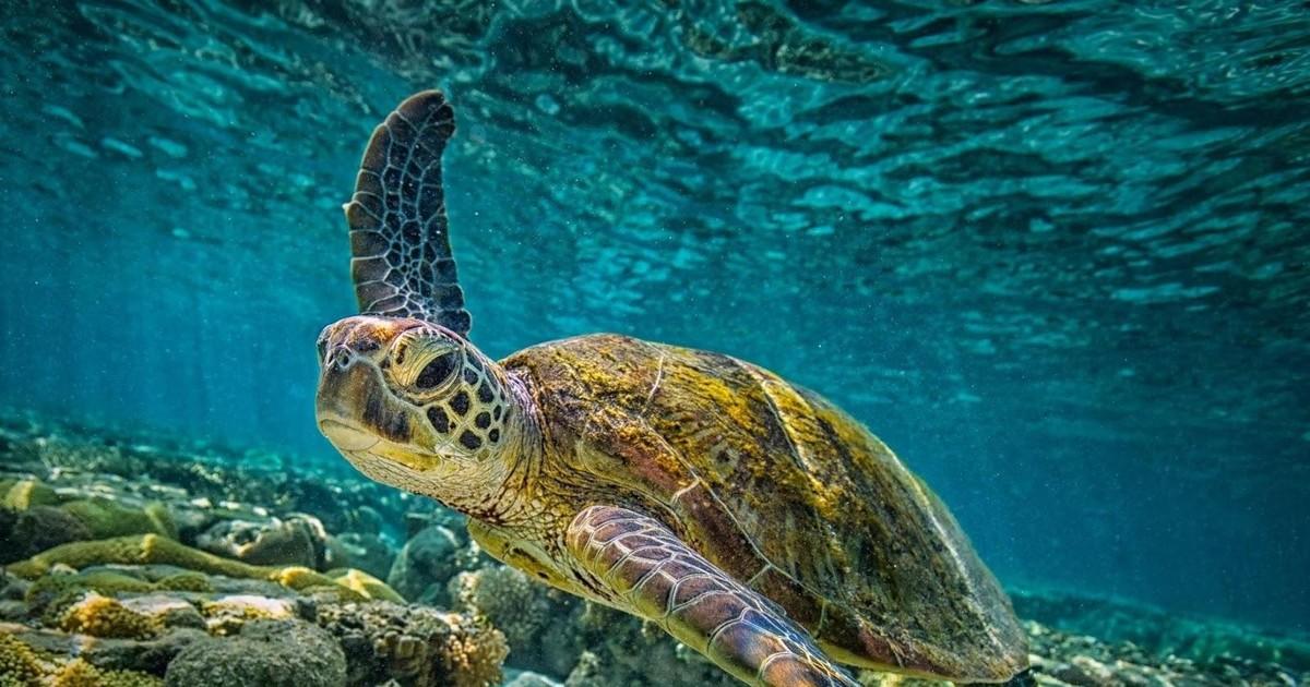 Giải Mã Giấc Mơ Ngủ Trưa Nằm Mơ Đánh Đề