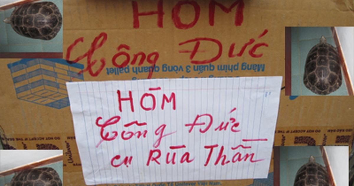 Rùa Thần Bò Vào Nhà Mang Lại May Mắn Cho Gia Đình