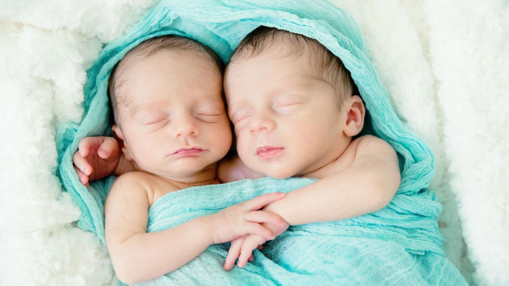 Giải Mã Giấc Mơ Thấy Cây Cảnh Trong Nhà Và Số Đề Liên Quan