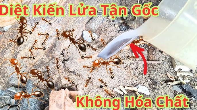 Giải Mã Giấc Mơ Thấy Đổi Tiền Và Những Con Số Liên Quan