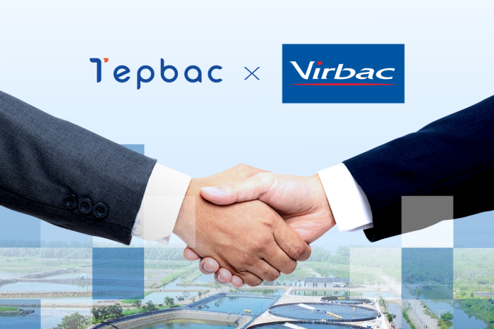Tôm tép và số đề