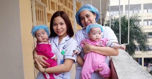 Giải Mã Giấc Mơ thấy Ong và Số Đề Liên Quan