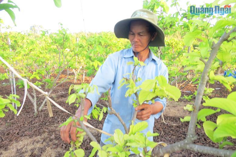 Nằm mơ thấy bà cụ đánh đề con gì?