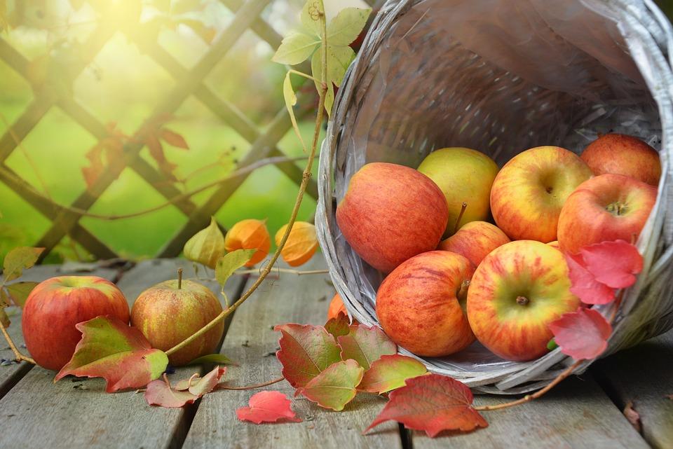 Giải Mã Giấc Mơ Thấy Mình Ngất Xỉu: Đánh Con Gì?