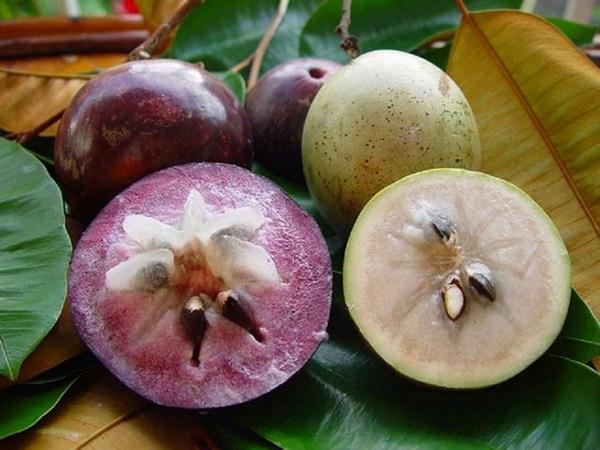 Nằm mơ thấy chó rượt là điềm gì? Giải mã giấc mơ và số đề