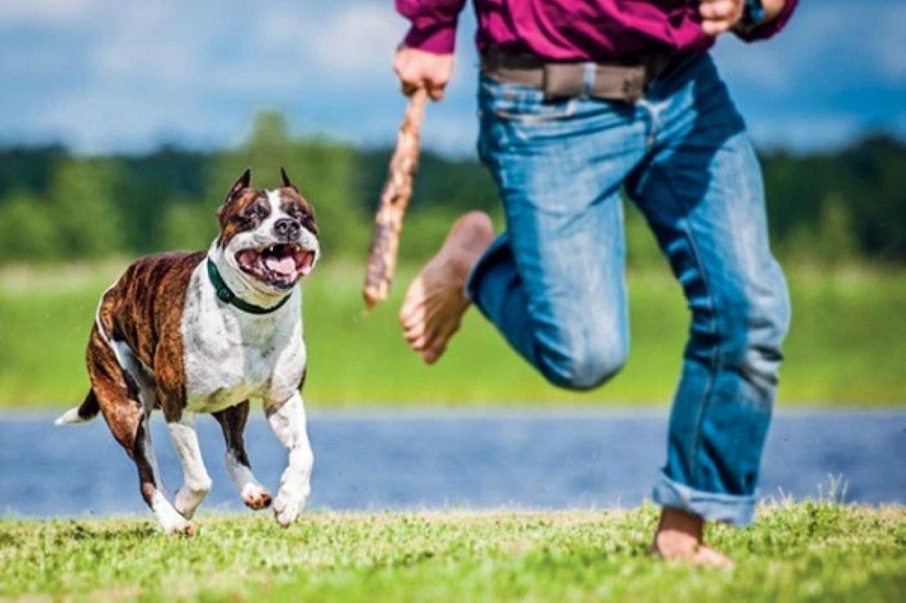 Chồng Nằm Mơ Thấy Vợ Sinh Đôi Con Trai: Giải Mã Số Đề